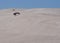 Lancelin: White Dunes with Dune Buggy in Western Australia
