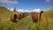 Land Art - Regeneration of Former Opencast Site