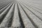 Land art and typical Dutch polder landscape with plowed fields, Noordoostpolder, Netherlands