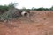 Land being cleared out for the construction of a new road