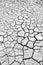 Land with dry and cracked ground. Desert, global w