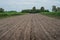 Land preparation for cassava in rainfed area