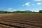 Land preparation for planting potato, northern Thailand