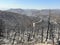 Land after recent wildfire. Dead forest, barren of plants mountains with burned trees trunks.