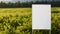 Land for sell concept. Blank template white billboard copy space on the field for sell background. Billboard mockup. Real estate