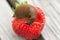 Land slug close up, on top of the strawberry fruit