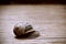 Land snail on a wooden surface