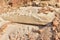 Land structure in open pit mining. Ground background in quarry. Rock texture during earthworks. Sand background and Earths crust