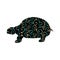 Land turtle reptile color silhouette animal