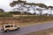 Landcruiser Moving along Ntulele Highway in Narok County Engulfed with Wheat