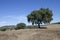 Landescape of Alentejo