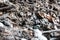 Landfill of damaged gas masks in a dilapidated concrete building of an inactive enterprise.