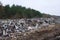 Landfill in Ukraine, piles of plastic dumped in . The roads along inorganic waste jumble