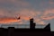 Landing airplane and european herring gull at colorful urban sunset. Silhouette, selective focus.