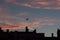 Landing airplane and european herring gull at colorful urban sunset. Silhouette, selective focus. Landscape, background.at urban