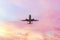 Landing airplane on the pastel colored sky background.