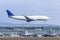 Landing large airplane against the background of the passenger terminal