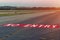 Landing light. Directional sign markings on the tarmac of runway at a commercial airport