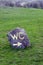Landmark granit stone with paint text show direction to WC