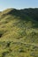 Landmark view of `Gili Lawa` with green savanna grass and blue sea in an evening, Komodo Island Komodo National Park, Labuan Baj