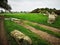 Landmarks of Cumbria - Long Meg and Her Daughters