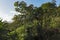 Landscape above the Lake Arenal at La Fortuna, Costa Rica