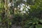 Landscape above the Lake Arenal at La Fortuna, Costa Rica