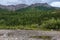 Landscape above Nenana River shoreline in Denali Park, AK, USA