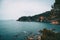 Landscape of an abrupt breakwater full of trees