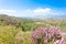 Landscape of Agios Ioannis