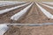 Landscape of agricultural land with many greenhouses, standing in rows, drip irrigation system in the foreground