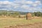 Landscape with agriculture and forest