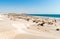 Landscape of Al Khaluf beach with dunes and white sands in the Arabian Sea of Oman