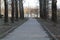 Landscape alley in the Park and a pond