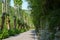 Landscape along the road of Arni, from Garfagnana to Alpi Apuane