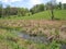 Landscape along Virginia Creeper Trail