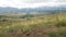 Landscape Of The Altai. Mountain snow-capped peaks and beautiful juicy grass in the foreground. Cloudy summer