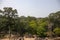 Landscape with ancient temple in Angkor Wat complex, Cambodia. Jungle forest view from Ta Keo temple.