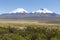 Landscape of the Andes Mountains, with llamas grazing.