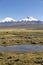 Landscape of the Andes Mountains, with llamas grazing.