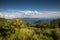 Landscape Appalachian Trail Blue Ridge Azalea