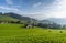 Landscape in the Appenzell Alps, view towards the Alpstein mountains Switzerland