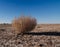Landscape of aralkum desert as a bed of former Aral sea, Karakalpakstan, uzbekistan