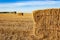 landscape of the argentinian countryside with bales of wheat