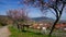Landscape around Birkweiler during the almond blossom in spring