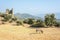 Landscape around Lake Bafa in Turkey