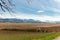 Landscape around the lake Pfaeffikersee in Zurich in Switzerland