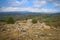 Landscape around Mycenae