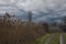 The landscape around the pond. Muddy dirt road and reeds. There are dramatic clouds in the sky