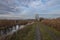 The landscape around the pond. Muddy dirt road and reeds. There are dramatic clouds in the sky